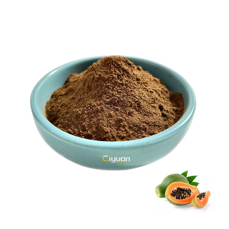 Bulk Papaya Extract Tablets